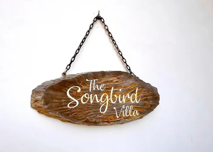 The Songbird *